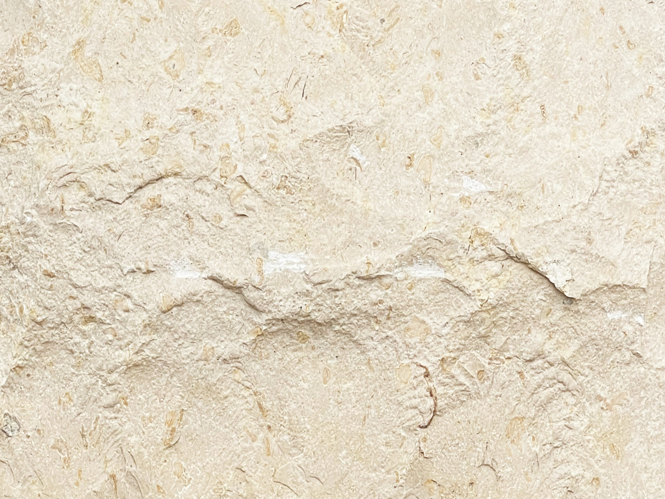 Riyadh Stone Carved Stone Sample